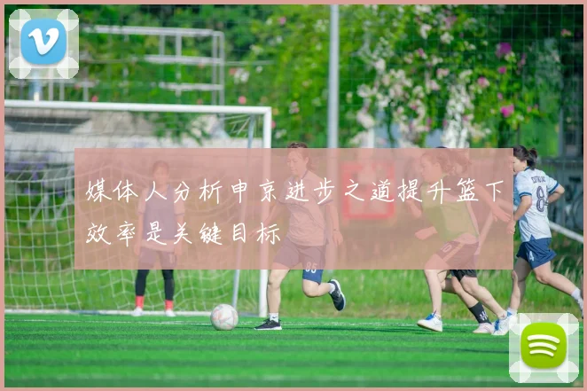 媒体人分析申京进步之道提升篮下效率是关键目标