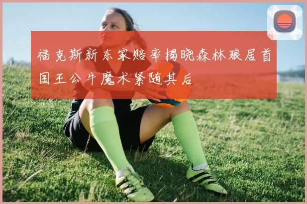福克斯新东家赔率揭晓森林狼居首国王公牛魔术紧随其后